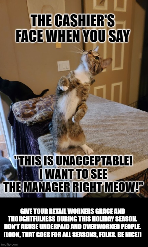 Treat Retailers Well | THE CASHIER'S FACE WHEN YOU SAY; "THIS IS UNACCEPTABLE! I WANT TO SEE THE MANAGER RIGHT MEOW!"; GIVE YOUR RETAIL WORKERS GRACE AND THOUGHTFULNESS DURING THIS HOLIDAY SEASON. DON'T ABUSE UNDERPAID AND OVERWORKED PEOPLE. (LOOK, THAT GOES FOR ALL SEASONS, FOLKS. BE NICE!) | image tagged in standing curious cat,retail,holiday shopping | made w/ Imgflip meme maker