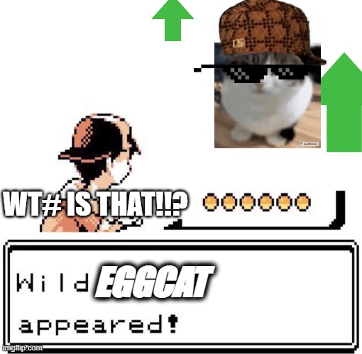 wtf |  WT# IS THAT!!? EGGCAT | image tagged in blank wild pokemon appears | made w/ Imgflip meme maker