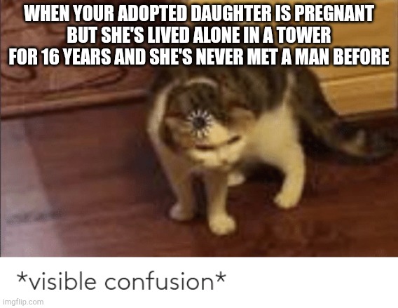visible confusion | WHEN YOUR ADOPTED DAUGHTER IS PREGNANT BUT SHE'S LIVED ALONE IN A TOWER FOR 16 YEARS AND SHE'S NEVER MET A MAN BEFORE | image tagged in visible confusion | made w/ Imgflip meme maker
