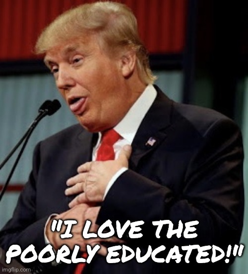 Trump on his supporters | "I LOVE THE POORLY EDUCATED!" | image tagged in trump goofy,truth | made w/ Imgflip meme maker
