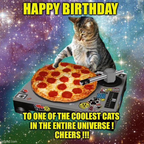 HAPPY BIRTHDAY !!! | HAPPY BIRTHDAY; TO ONE OF THE COOLEST CATS 
IN THE ENTIRE UNIVERSE !
CHEERS !!! | image tagged in space cat happy birthday | made w/ Imgflip meme maker