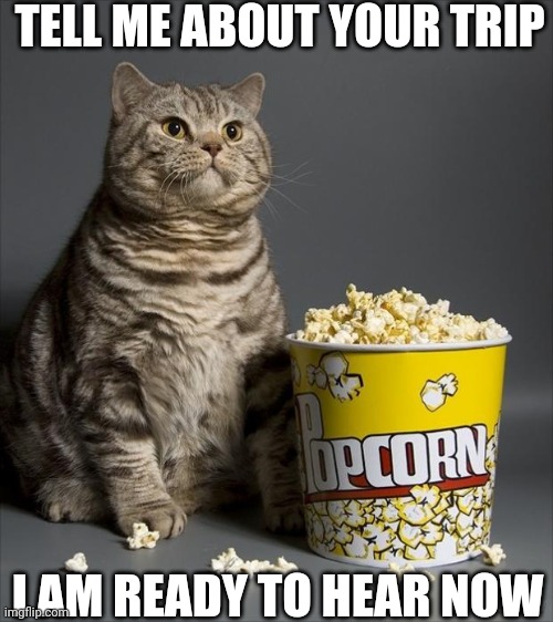 Cat eating popcorn | TELL ME ABOUT YOUR TRIP; I AM READY TO HEAR NOW | image tagged in cat eating popcorn | made w/ Imgflip meme maker