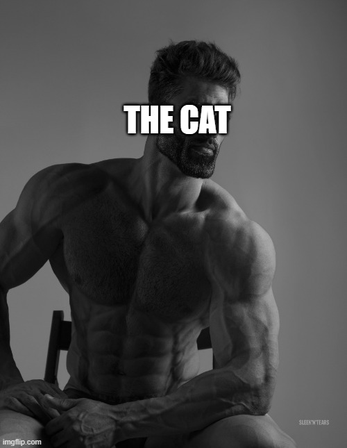 Giga Chad | THE CAT | image tagged in giga chad | made w/ Imgflip meme maker