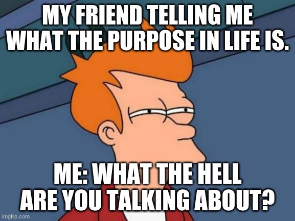 What is the purpose in life? | MY FRIEND TELLING ME WHAT THE PURPOSE IN LIFE IS. ME: WHAT THE HELL ARE YOU TALKING ABOUT? | image tagged in memes,futurama fry | made w/ Imgflip meme maker