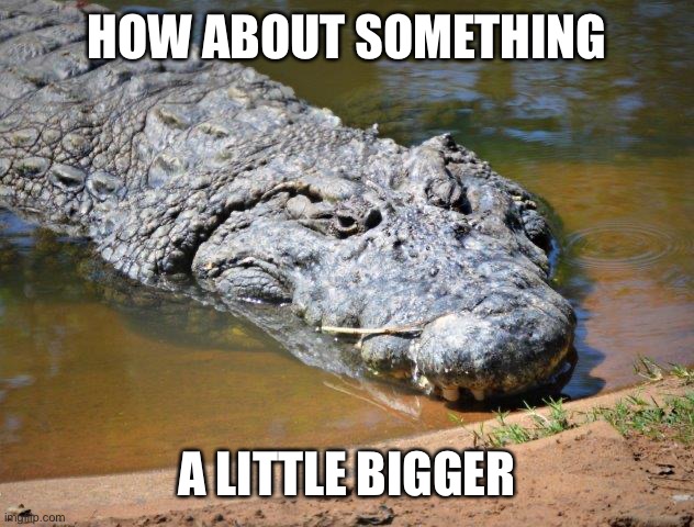 Crocodile | HOW ABOUT SOMETHING A LITTLE BIGGER | image tagged in crocodile | made w/ Imgflip meme maker