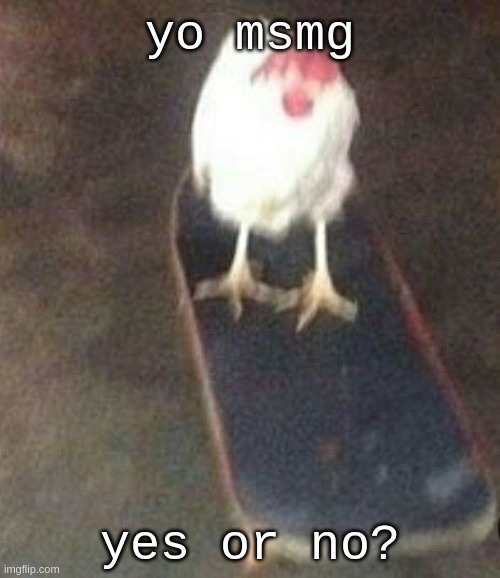 effects smthg i do so leave ur choice in comments | yo msmg; yes or no? | image tagged in dog on skateboard | made w/ Imgflip meme maker