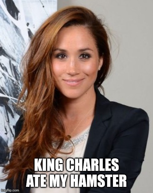 King Charles ate my hamster | KING CHARLES
ATE MY HAMSTER | image tagged in meghan markle | made w/ Imgflip meme maker