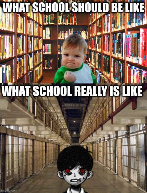 Ideals vs Reality... | WHAT SCHOOL SHOULD BE LIKE; WHAT SCHOOL REALLY IS LIKE | image tagged in library,prison,school,be like,children,freedom,SchoolSystemBroke | made w/ Imgflip meme maker