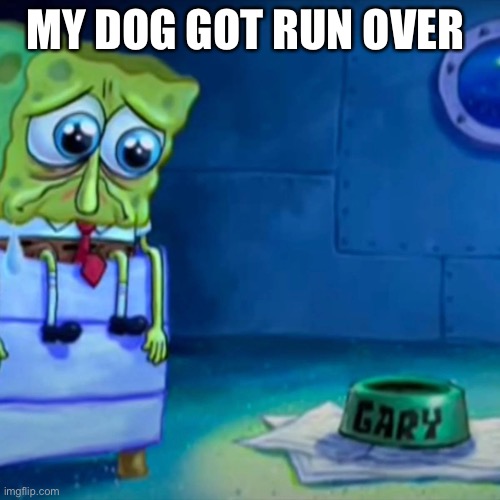Gary Come Home | MY DOG GOT RUN OVER | image tagged in gary come home | made w/ Imgflip meme maker