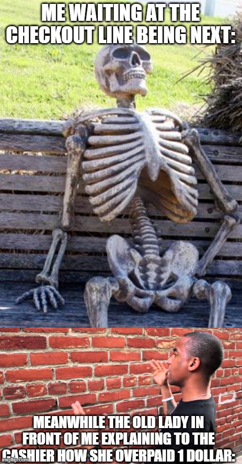 always happens | ME WAITING AT THE CHECKOUT LINE BEING NEXT:; MEANWHILE THE OLD LADY IN FRONT OF ME EXPLAINING TO THE CASHIER HOW SHE OVERPAID 1 DOLLAR: | image tagged in memes,waiting skeleton,talking to wall,relatable,funny | made w/ Imgflip meme maker