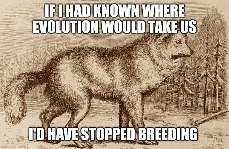 IF I HAD KNOWN WHERE EVOLUTION WOULD TAKE US; I'D HAVE STOPPED BREEDING | image tagged in dogs | made w/ Imgflip meme maker