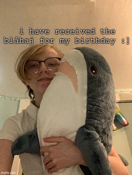 he is amazing | i have received the blåhaj for my birthday :] | image tagged in blahaj | made w/ Imgflip meme maker