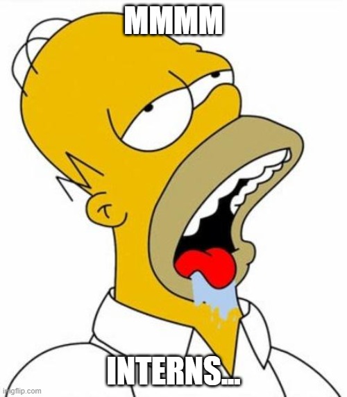 Homer Simpson MMM | MMMM; INTERNS... | image tagged in homer simpson mmm | made w/ Imgflip meme maker