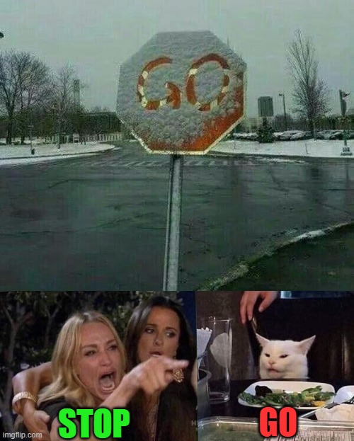 so confusing ! | STOP; GO | image tagged in woman yelling at cat | made w/ Imgflip meme maker