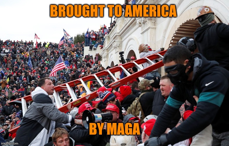 Qanon - Insurrection - Trump riot - sedition | BROUGHT TO AMERICA BY MAGA | image tagged in qanon - insurrection - trump riot - sedition | made w/ Imgflip meme maker