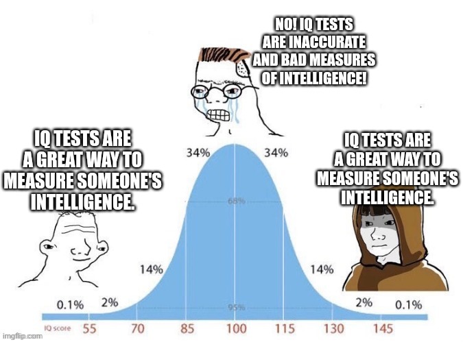 IQ Tests | NO! IQ TESTS ARE INACCURATE AND BAD MEASURES OF INTELLIGENCE! IQ TESTS ARE A GREAT WAY TO MEASURE SOMEONE'S INTELLIGENCE. IQ TESTS ARE A GREAT WAY TO MEASURE SOMEONE'S INTELLIGENCE. | image tagged in bell curve,iq,memes | made w/ Imgflip meme maker