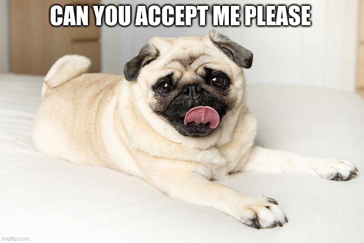 can you please adopt me | CAN YOU ACCEPT ME PLEASE | made w/ Imgflip meme maker