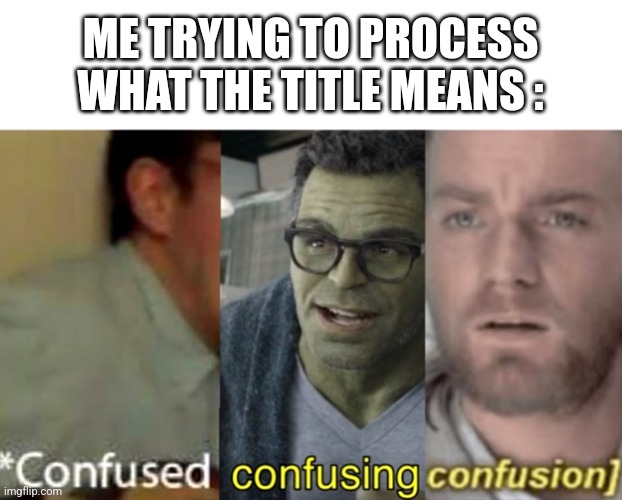 confused confusing confusion | ME TRYING TO PROCESS WHAT THE TITLE MEANS : | image tagged in confused confusing confusion | made w/ Imgflip meme maker