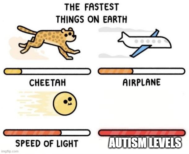 The fastest things on earth: cheetah, airplane, speed of light, | AUTISM LEVELS | image tagged in the fastest things on earth cheetah airplane speed of light | made w/ Imgflip meme maker