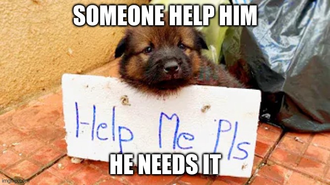 this dog needs help | SOMEONE HELP HIM; HE NEEDS IT | made w/ Imgflip meme maker