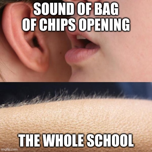 chips | SOUND OF BAG OF CHIPS OPENING; THE WHOLE SCHOOL | image tagged in whisper and goosebumps,chips | made w/ Imgflip meme maker