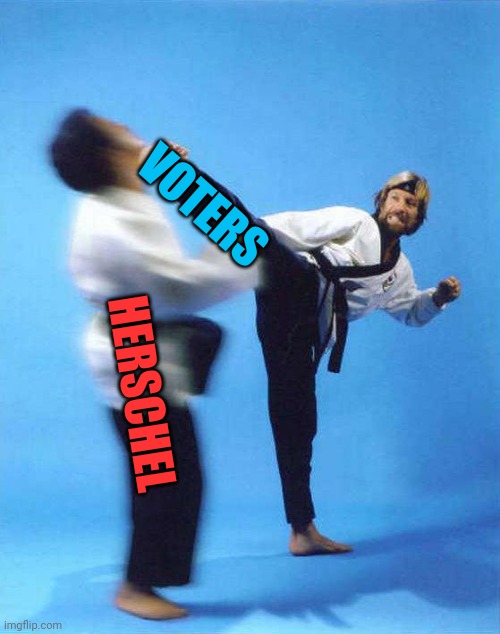 Roundhouse Kick Chuck Norris | HERSCHEL VOTERS | image tagged in roundhouse kick chuck norris | made w/ Imgflip meme maker