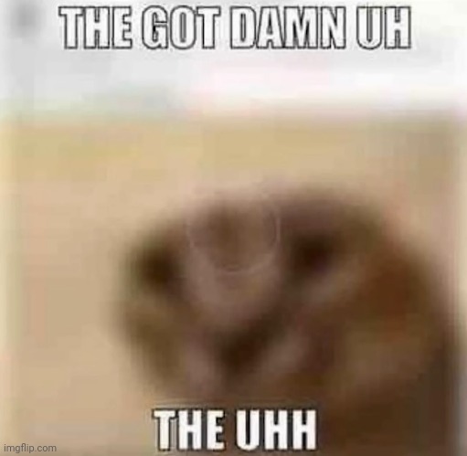 made w/ Imgflip meme maker
