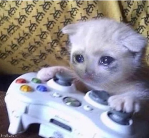 Sad gaming cat | image tagged in sad gaming cat | made w/ Imgflip meme maker