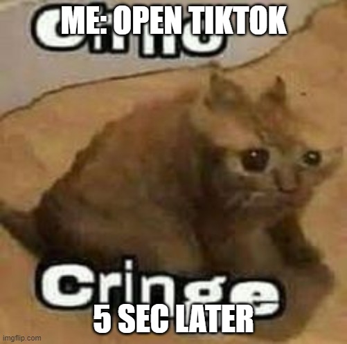 oH nO cRInGe | ME: OPEN TIKTOK; 5 SEC LATER | image tagged in oh no cringe | made w/ Imgflip meme maker