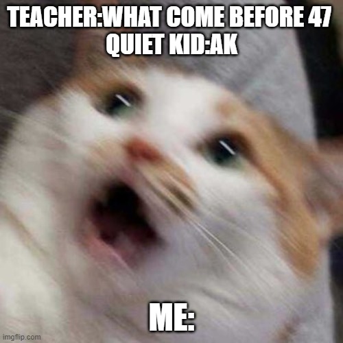 oh no | TEACHER:WHAT COME BEFORE 47 
QUIET KID:AK; ME: | image tagged in oh no cat | made w/ Imgflip meme maker