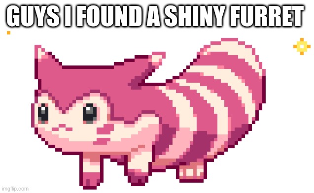 pokemon | GUYS I FOUND A SHINY FURRET | image tagged in funny | made w/ Imgflip meme maker
