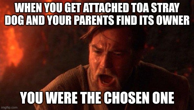 You Were The Chosen One (Star Wars) Meme | WHEN YOU GET ATTACHED TOA STRAY DOG AND YOUR PARENTS FIND ITS OWNER; YOU WERE THE CHOSEN ONE | image tagged in memes,you were the chosen one star wars | made w/ Imgflip meme maker