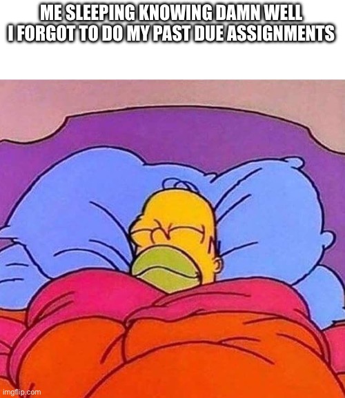 Homer Simpson sleeping peacefully | ME SLEEPING KNOWING DAMN WELL I FORGOT TO DO MY PAST DUE ASSIGNMENTS | image tagged in homer simpson sleeping peacefully,school,relatable | made w/ Imgflip meme maker
