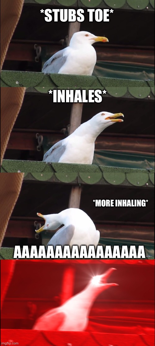 Inhaling Seagull | *STUBS TOE*; *INHALES*; *MORE INHALING*; AAAAAAAAAAAAAAAA | image tagged in memes,inhaling seagull | made w/ Imgflip meme maker