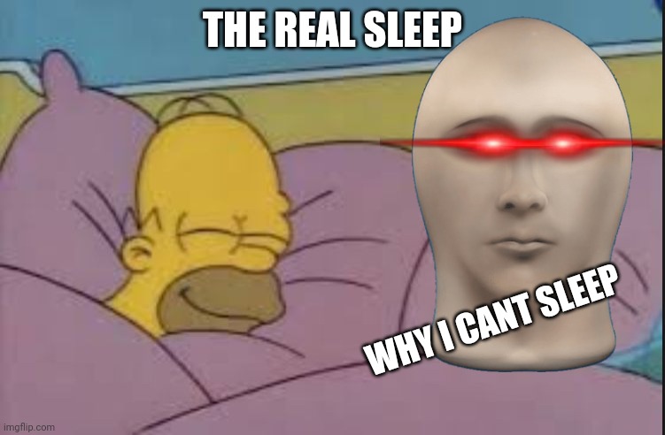 how i sleep homer simpson | THE REAL SLEEP WHY I CANT SLEEP | image tagged in how i sleep homer simpson | made w/ Imgflip meme maker