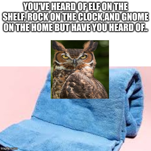 YES | YOU'VE HEARD OF ELF ON THE SHELF, ROCK ON THE CLOCK,AND GNOME ON THE HOME BUT HAVE YOU HEARD OF.. | image tagged in memes | made w/ Imgflip meme maker