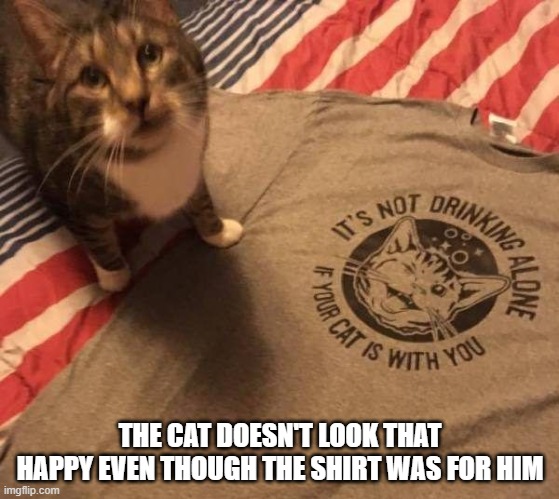  THE CAT DOESN'T LOOK THAT HAPPY EVEN THOUGH THE SHIRT WAS FOR HIM | image tagged in cats | made w/ Imgflip meme maker