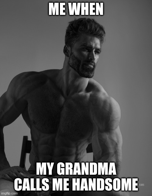 Giga Chad | ME WHEN; MY GRANDMA CALLS ME HANDSOME | image tagged in giga chad | made w/ Imgflip meme maker