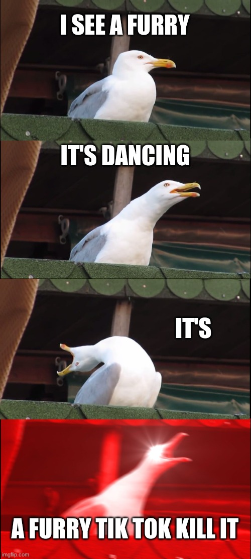 Inhaling Seagull | I SEE A FURRY; IT'S DANCING; IT'S; A FURRY TIK TOK KILL IT | image tagged in memes,inhaling seagull | made w/ Imgflip meme maker