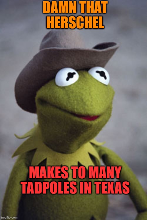 Texas Kermit | DAMN THAT HERSCHEL MAKES TO MANY TADPOLES IN TEXAS | image tagged in texas kermit | made w/ Imgflip meme maker