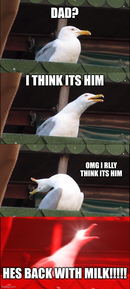 Inhaling Seagull Meme | DAD? I THINK ITS HIM; OMG I RLLY THINK ITS HIM; HES BACK WITH MILK!!!!! | image tagged in memes,inhaling seagull | made w/ Imgflip meme maker