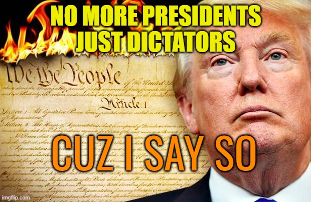 Why? because that's why | NO MORE PRESIDENTS
JUST DICTATORS; CUZ I SAY SO | image tagged in trump burning the constitution which he has never read,donald trump,maga,political meme,republicans | made w/ Imgflip meme maker