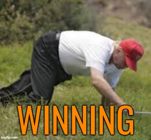 trump fallen can't get up | WINNING | image tagged in trump fallen can't get up | made w/ Imgflip meme maker