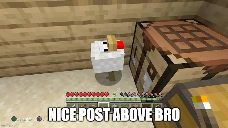 . | NICE POST ABOVE BRO | image tagged in nice post above bro | made w/ Imgflip meme maker
