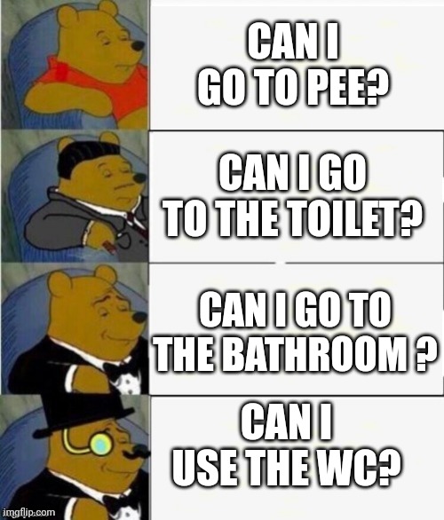 Elegant af | CAN I GO TO PEE? CAN I GO TO THE TOILET? CAN I GO TO THE BATHROOM ? CAN I USE THE WC? | image tagged in tuxedo winnie the pooh 4 panel,toilet,memes,bathroom,wtf,lmfao | made w/ Imgflip meme maker