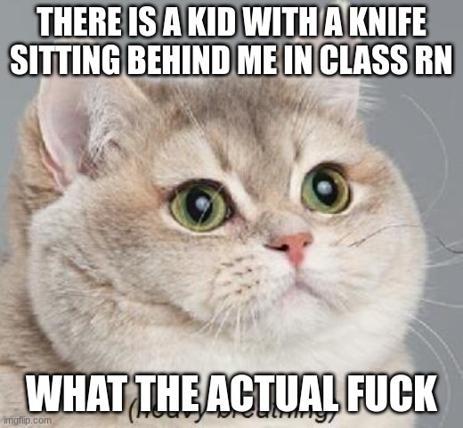 uhhhh yea | THERE IS A KID WITH A KNIFE SITTING BEHIND ME IN CLASS RN; WHAT THE ACTUAL FUCK | image tagged in memes,heavy breathing cat | made w/ Imgflip meme maker