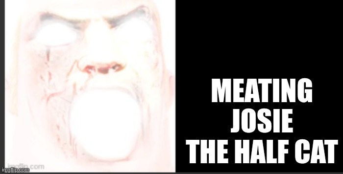 MEATING JOSIE THE HALF CAT | made w/ Imgflip meme maker