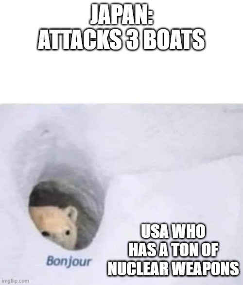Bonjour | JAPAN: ATTACKS 3 BOATS; USA WHO HAS A TON OF NUCLEAR WEAPONS | image tagged in bonjour | made w/ Imgflip meme maker