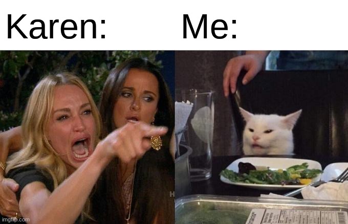 w o t |  Karen:; Me: | image tagged in memes,woman yelling at cat | made w/ Imgflip meme maker