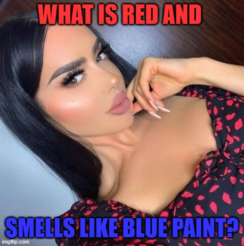 WHAT IS RED AND; SMELLS LIKE BLUE PAINT? | image tagged in riddle | made w/ Imgflip meme maker